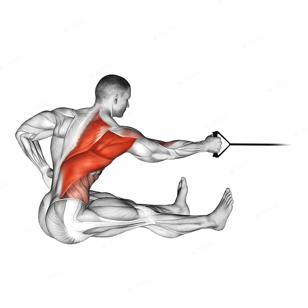 Band One Arm Twisting Seated Row exercise targeting Back and Infraspinatus