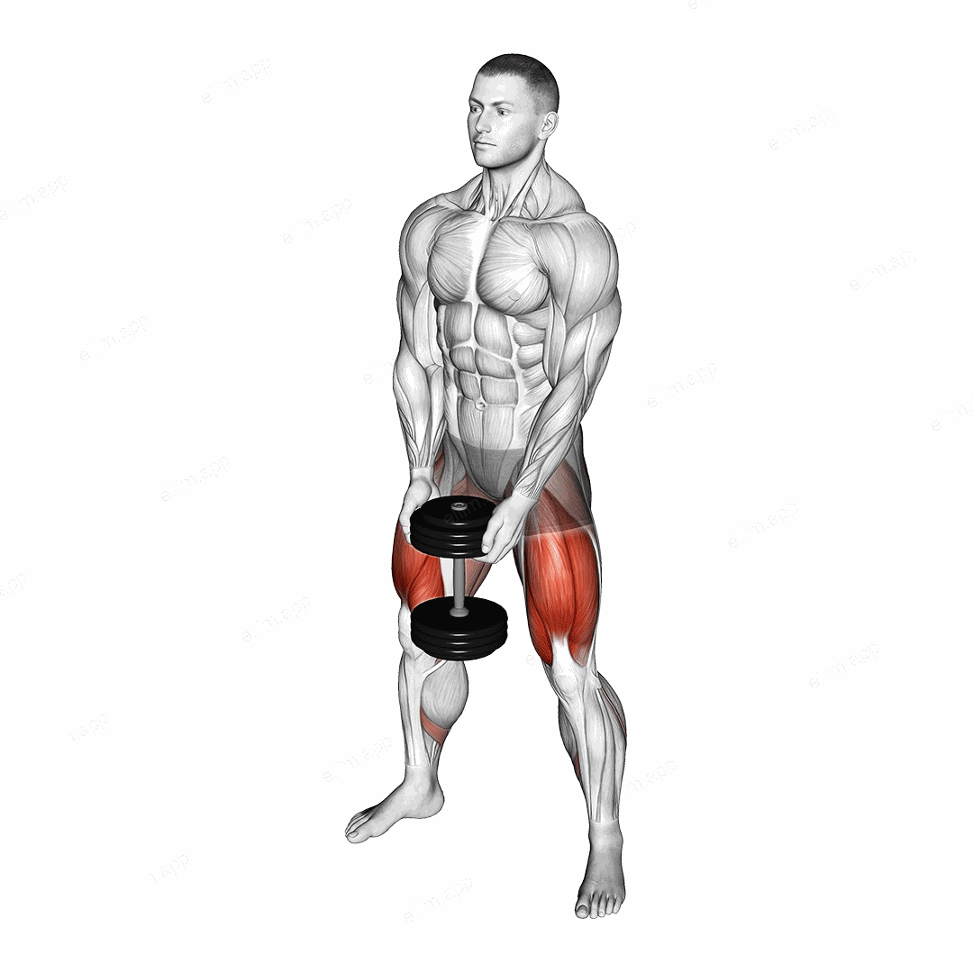 Dumbbell Sumo Squat exercise targeting Hips and Thighs
