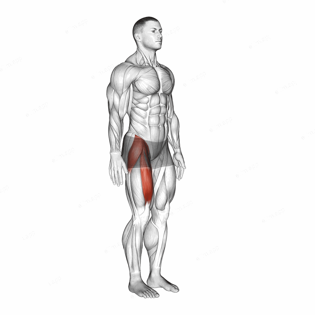 Hip - Flexion exercise targeting Hips