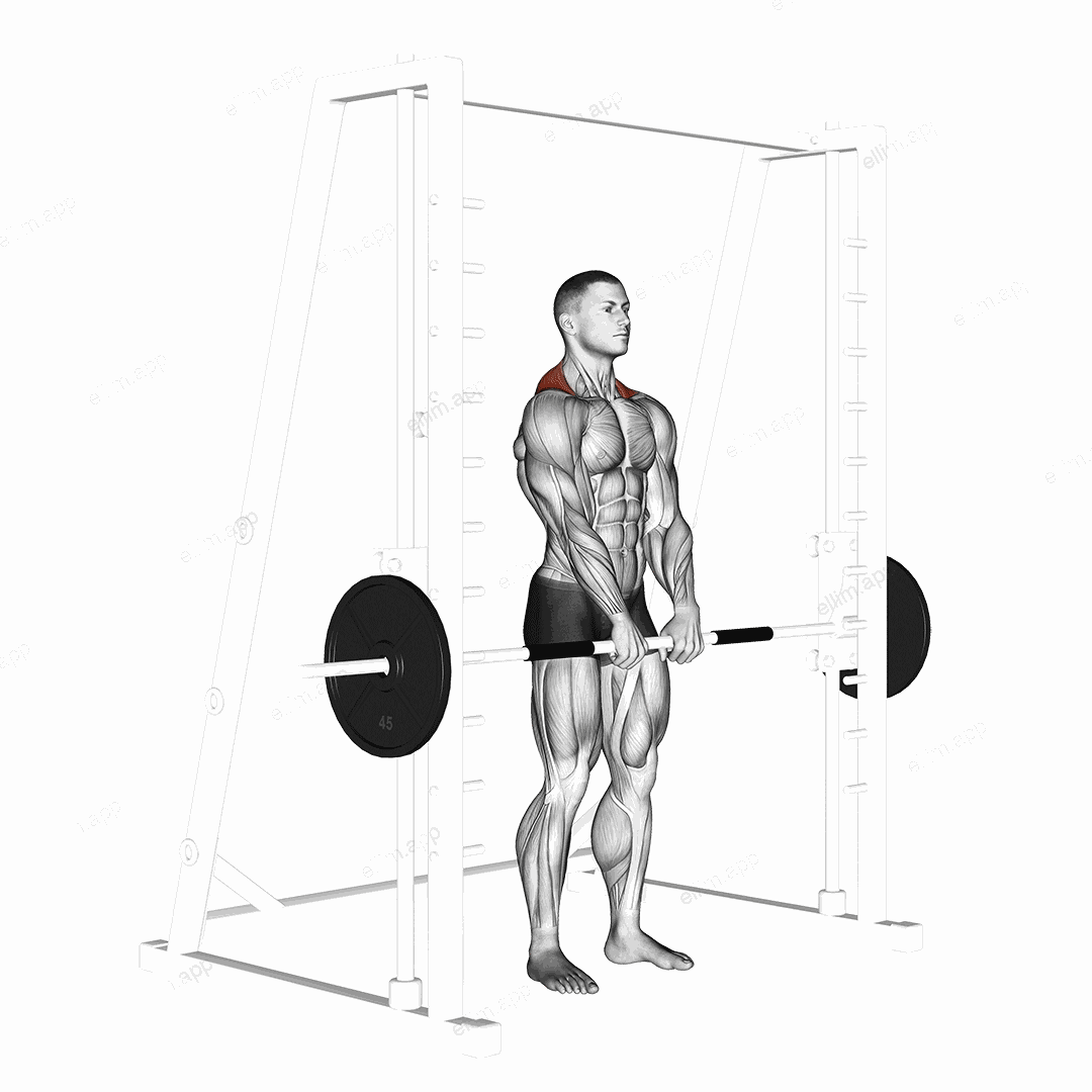 Smith Shrug exercise targeting Back and Trapezius Upper Fibers