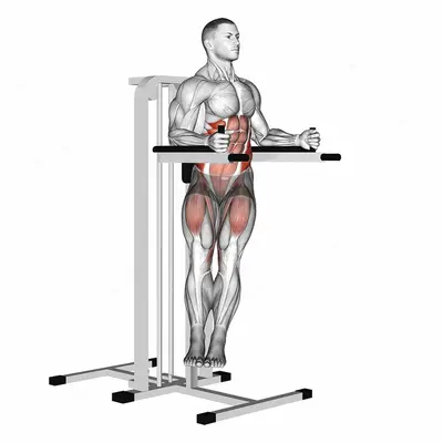 Twisted Leg Raise exercise targeting Waist