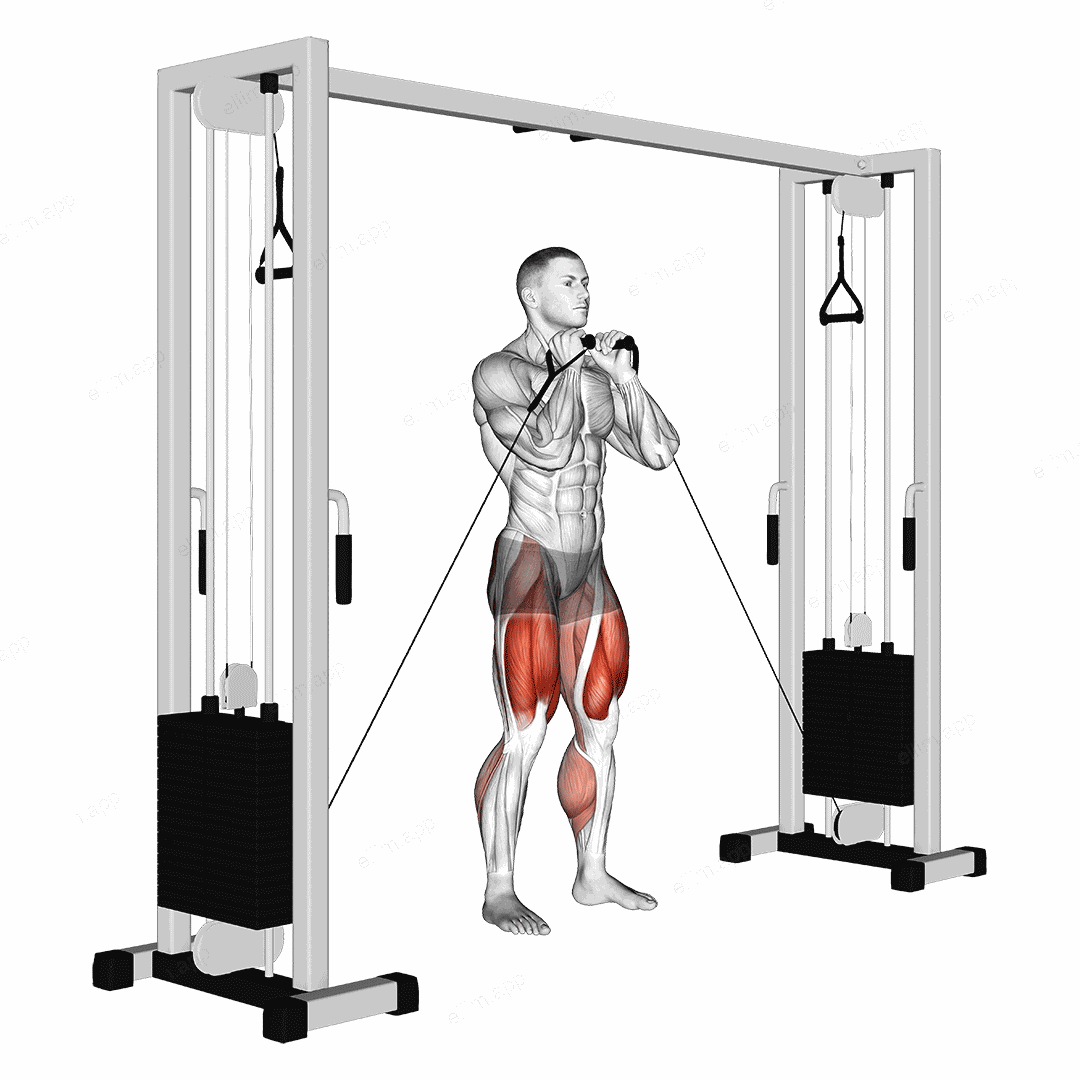 Cable Lateral Lunge exercise targeting Thighs and Gluteus Maximus