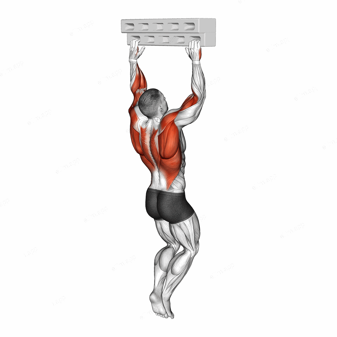 Handboard Hang with 135 Degree Elbow exercise targeting Forearms