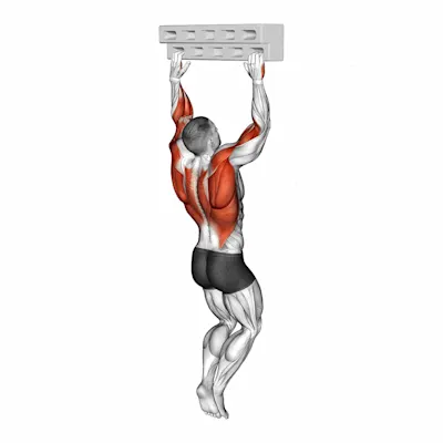 Handboard Hang with 135 Degree Elbow exercise targeting Forearms