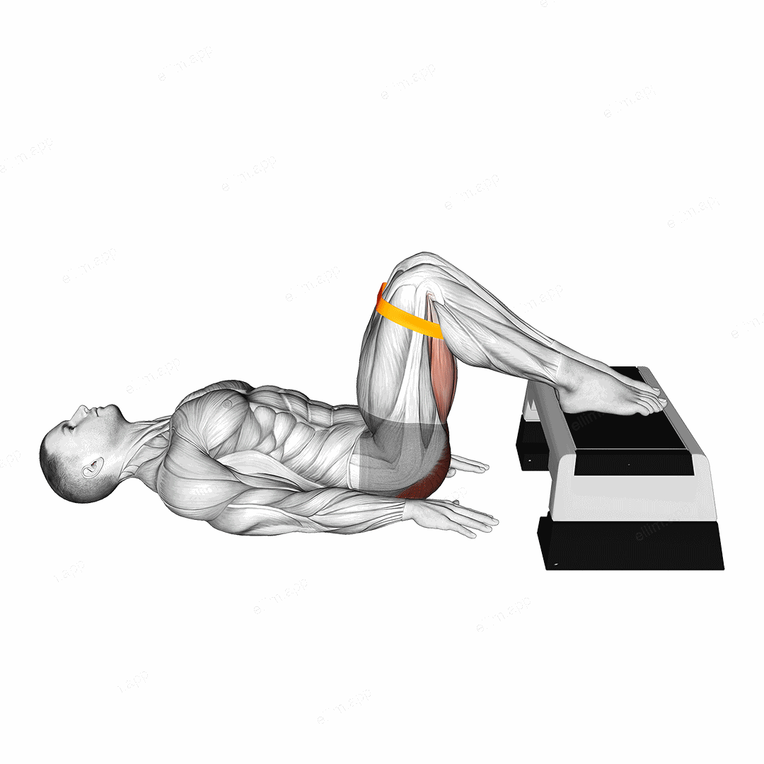 Resistance Band Elevated Glute Bridge exercise targeting Hips
