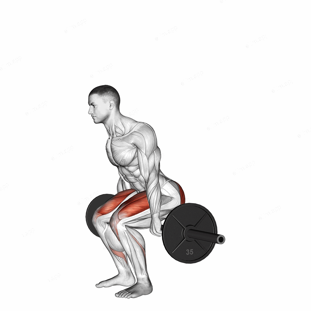 Barbell Hack Squat exercise targeting Hips and Gluteus Maximus