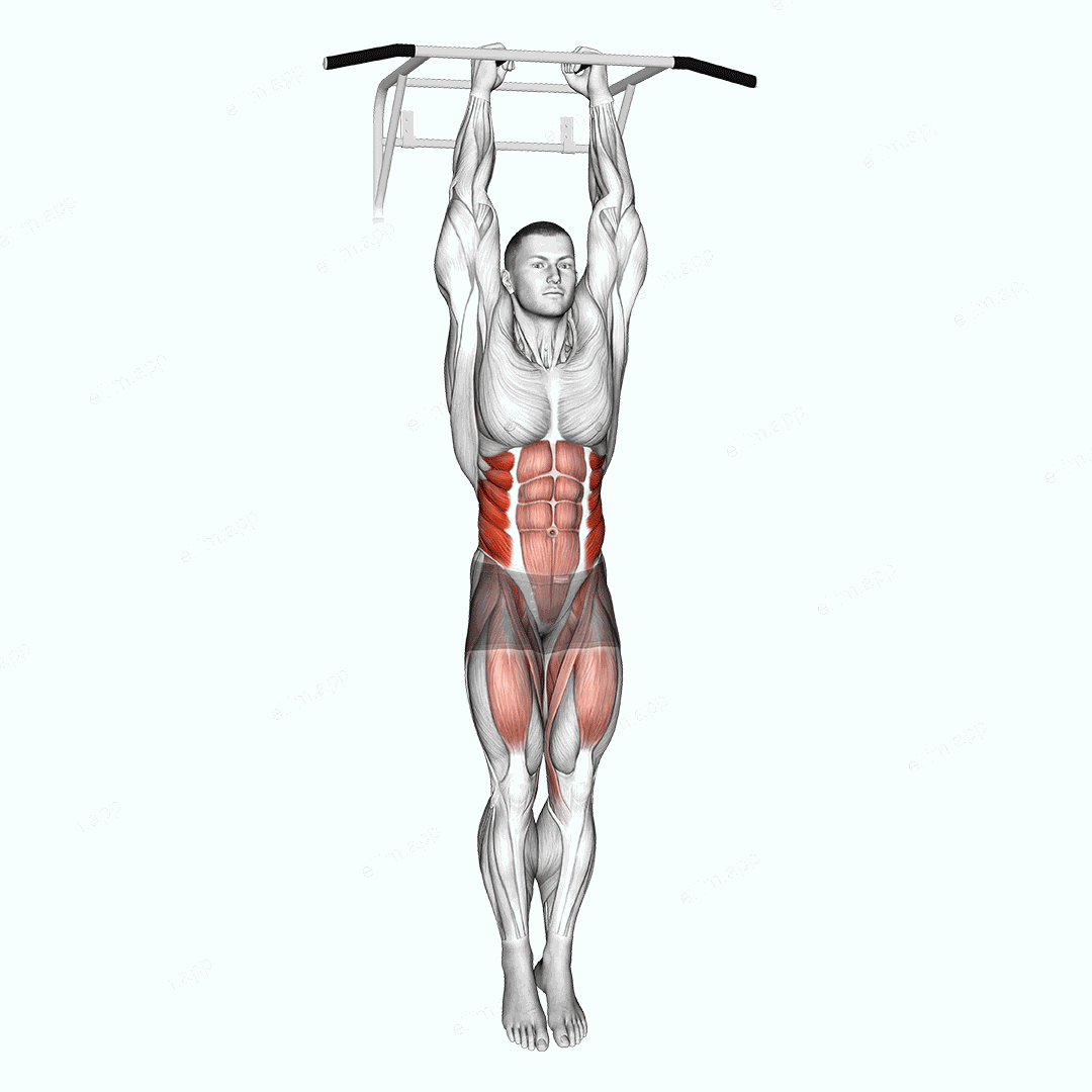 Hanging Oblique Knee Raise exercise targeting Waist and Iliopsoas