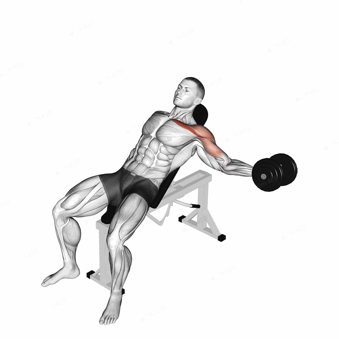Dumbbell Incline One Arm Fly exercise targeting Chest and Pectoralis Major Clavicular Head