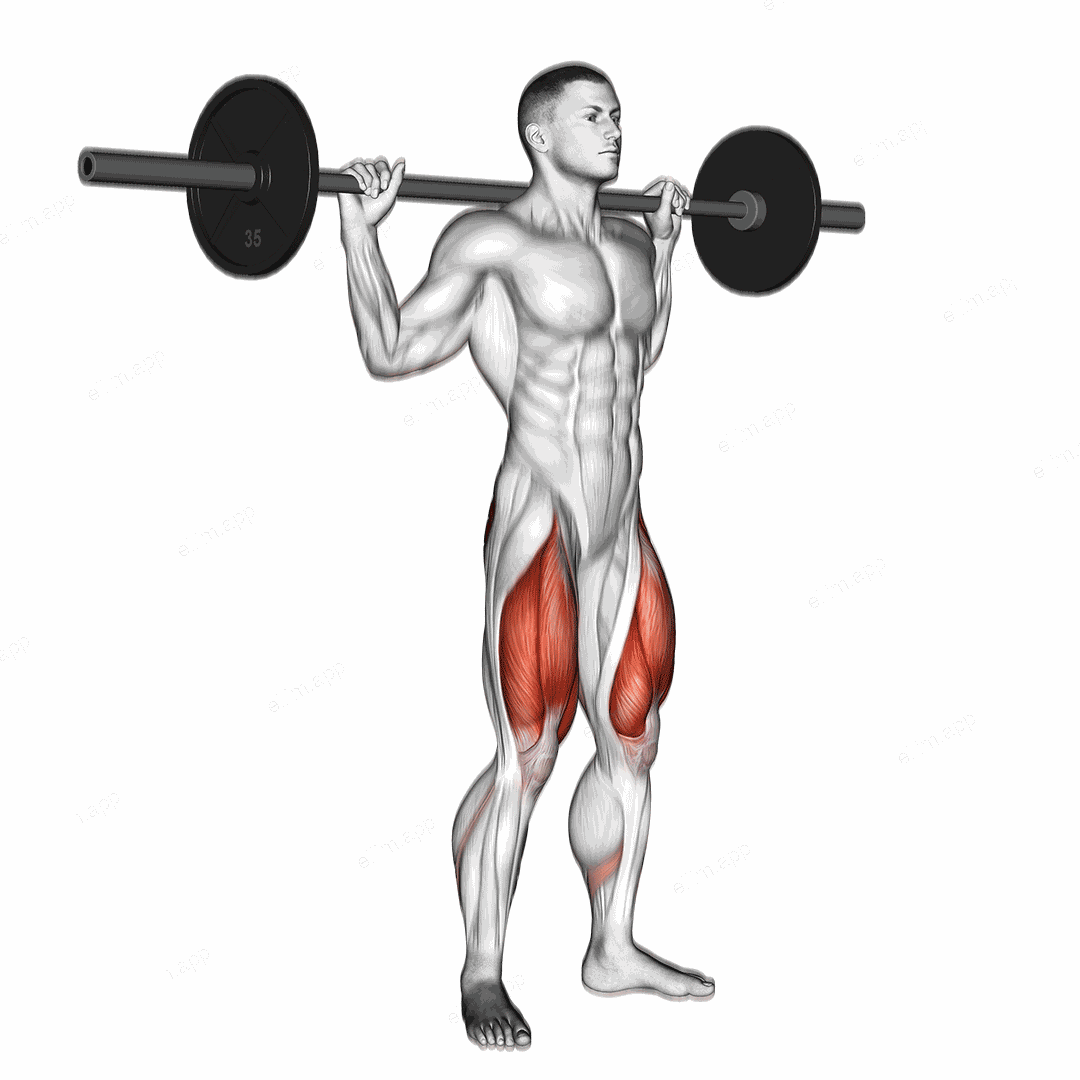 Barbell Speed Squat exercise targeting Thighs and Gluteus Maximus