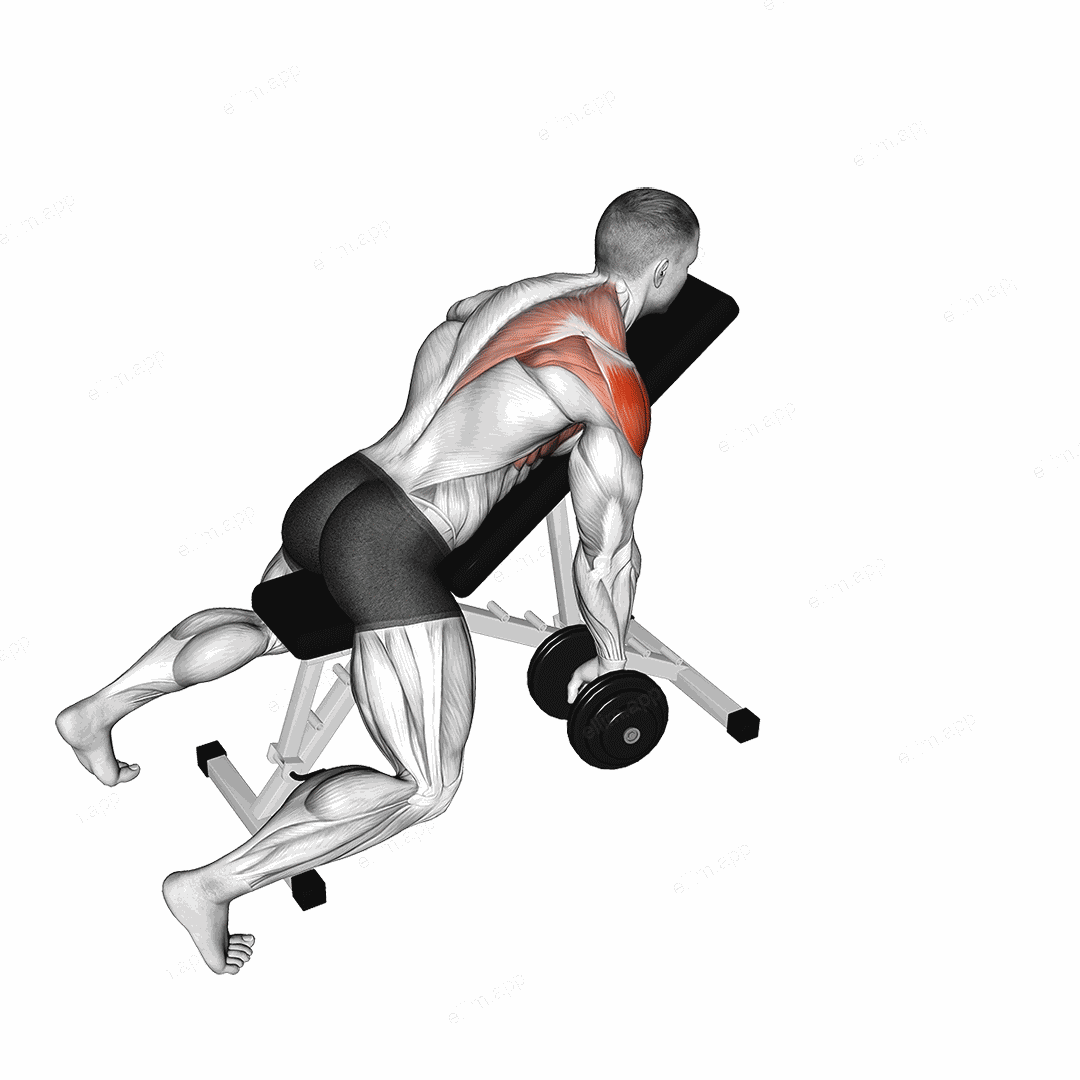 Dumbbell Incline Single Arm Y Raise exercise targeting Shoulders