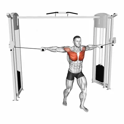 Cable Standing Neutral grip Fly exercise targeting Chest