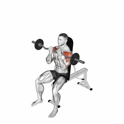 EZ bar Seated Close grip Shoulder Press exercise targeting Shoulders