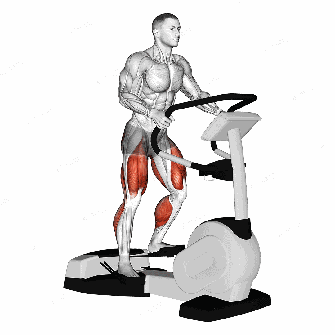 Walk Wave Machine exercise targeting Thighs and Adductor Magnus