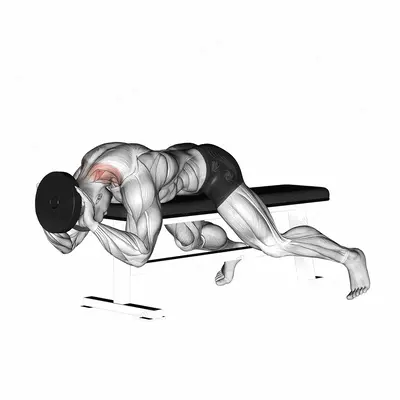 Weighted Lying Neck Extension exercise targeting Neck and Splenius