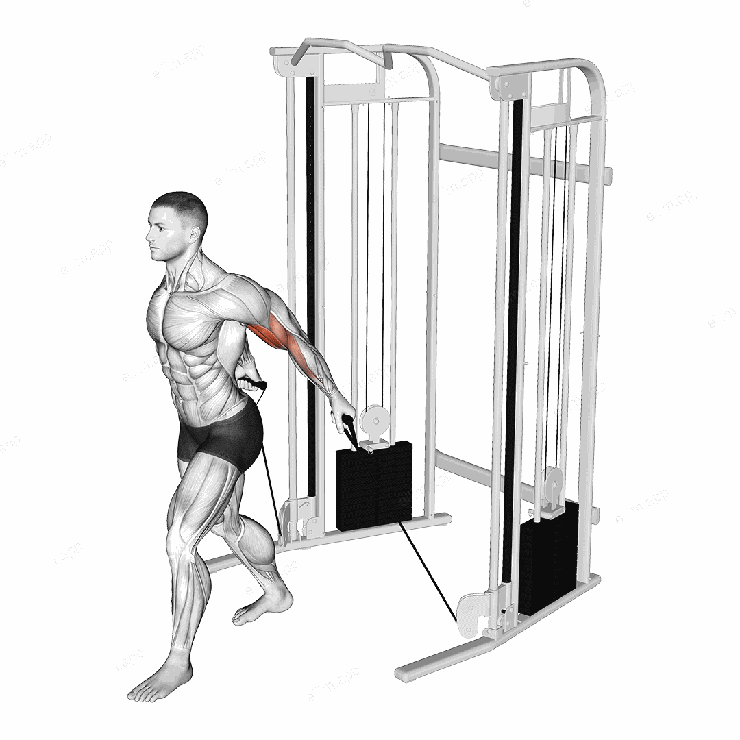 Cable Unilateral Bicep Curl exercise targeting Upper Arms