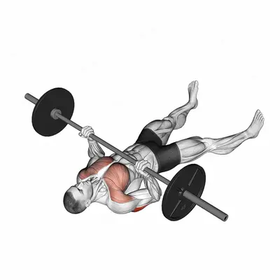 Barbell Reverse Grip Floor Press exercise targeting Upper Arms