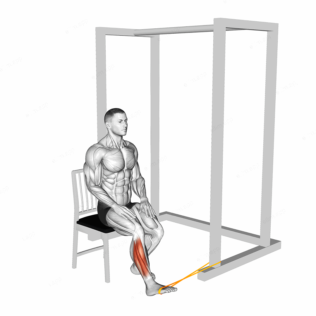 Resistance Band Seated Eversion Foot exercise targeting Calves