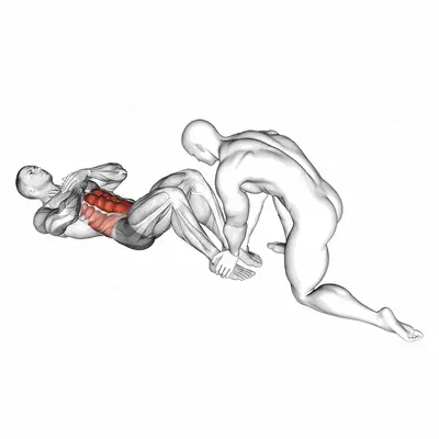 Assisted Sit-Up exercise targeting Waist and Rectus Abdominis