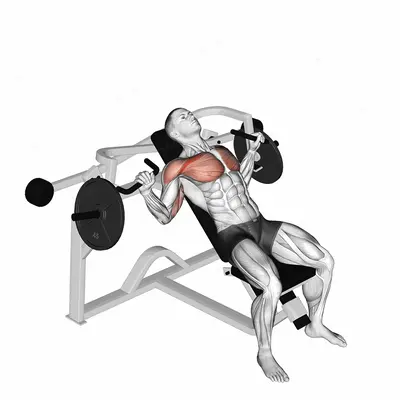 Lever Incline Chest Press (plate loaded) exercise targeting Chest and Pectoralis Major Clavicular Head