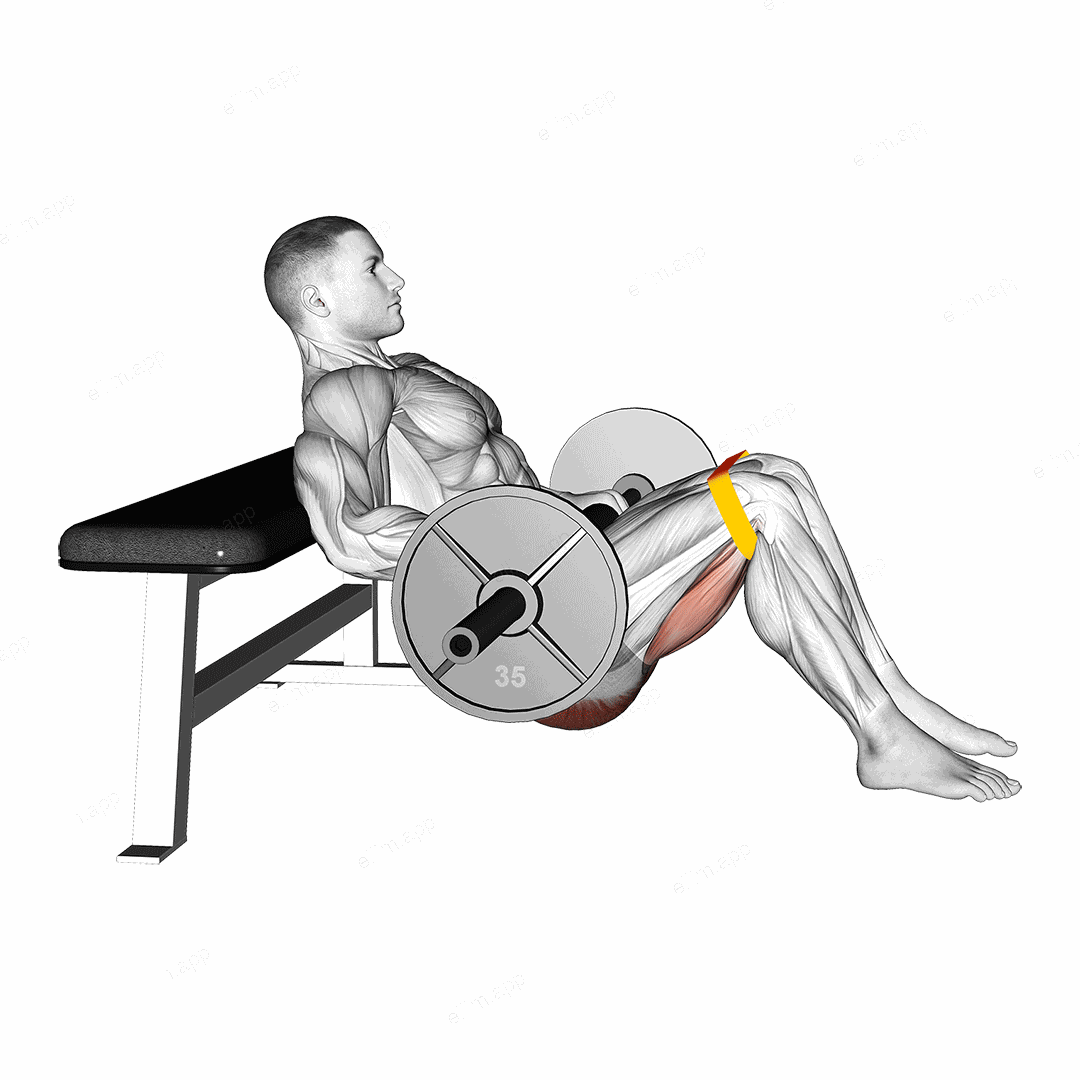 Barbell Resistance Band Hip Thrust exercise targeting Hips
