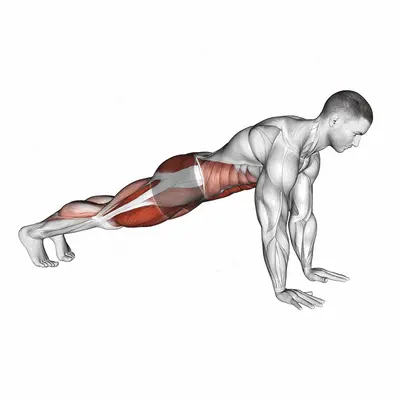 Frogger exercise targeting Waist and Gluteus Maximus