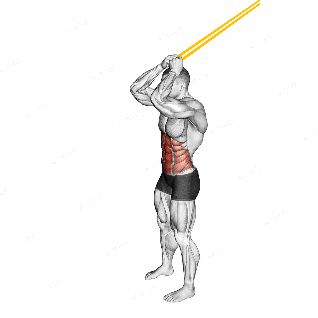 Resistance Band Standing Ab Crunch exercise targeting Waist and Rectus Abdominis