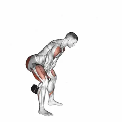 Dumbbell Swing exercise targeting Deltoid Anterior and Gluteus Maximus
