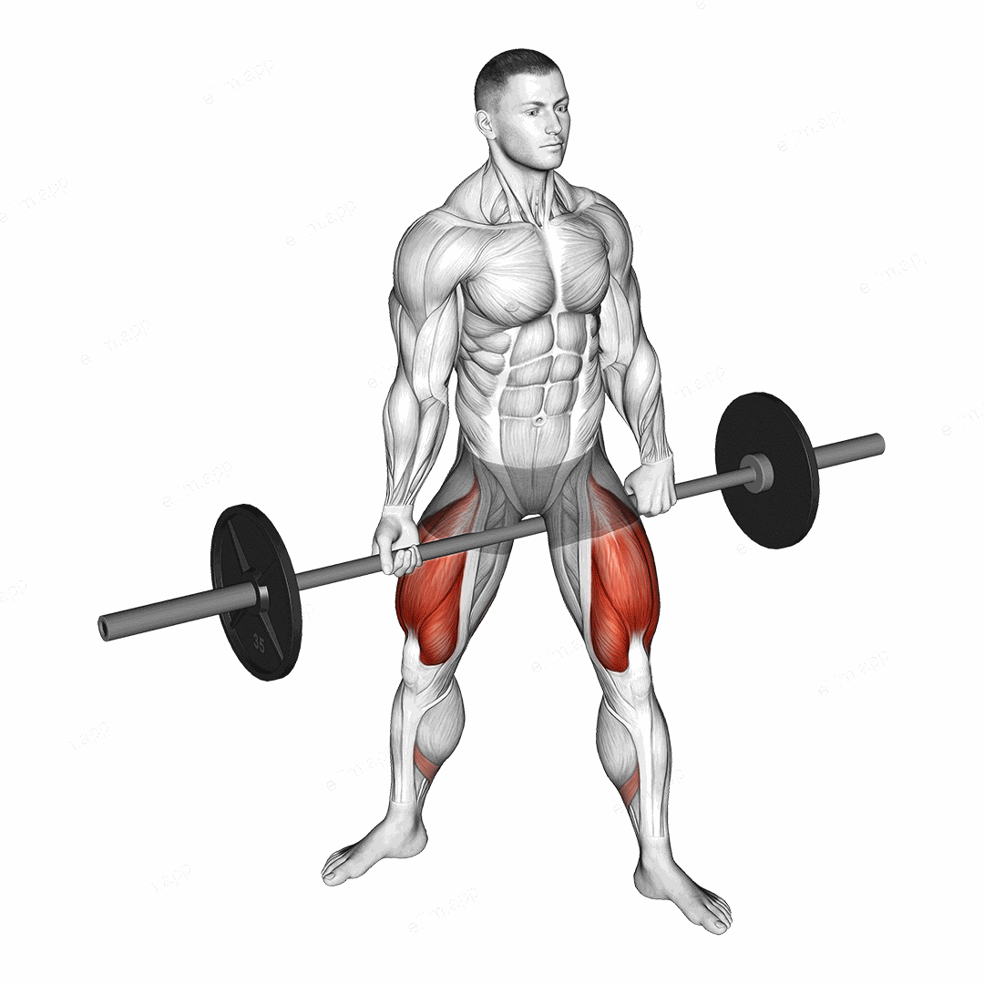 Barbell Jefferson Squat exercise targeting Thighs and Gluteus Maximus