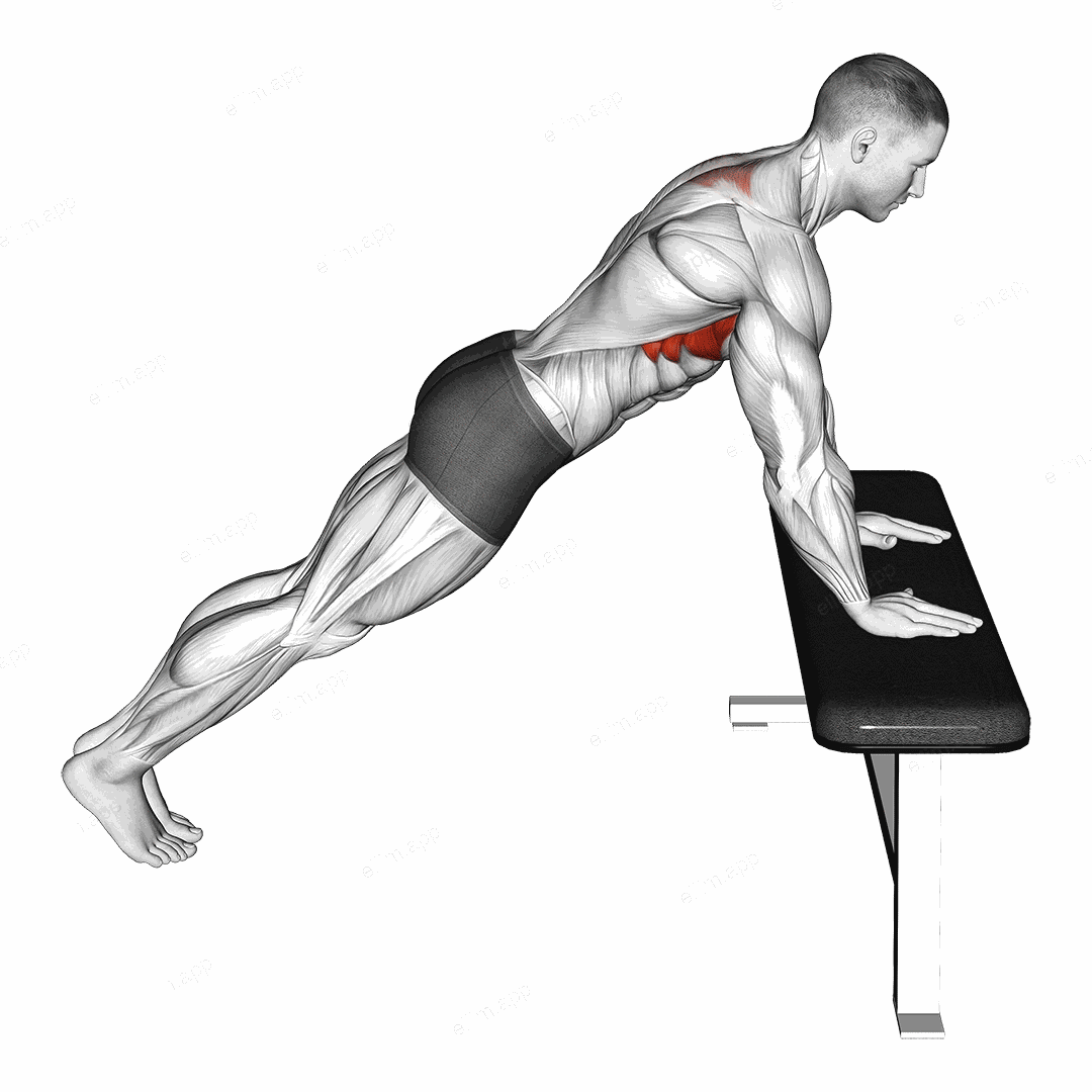 Incline Scapula Push-up exercise targeting Chest