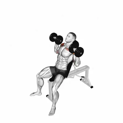 Dumbbell Incline Shoulders Press exercise targeting Shoulders