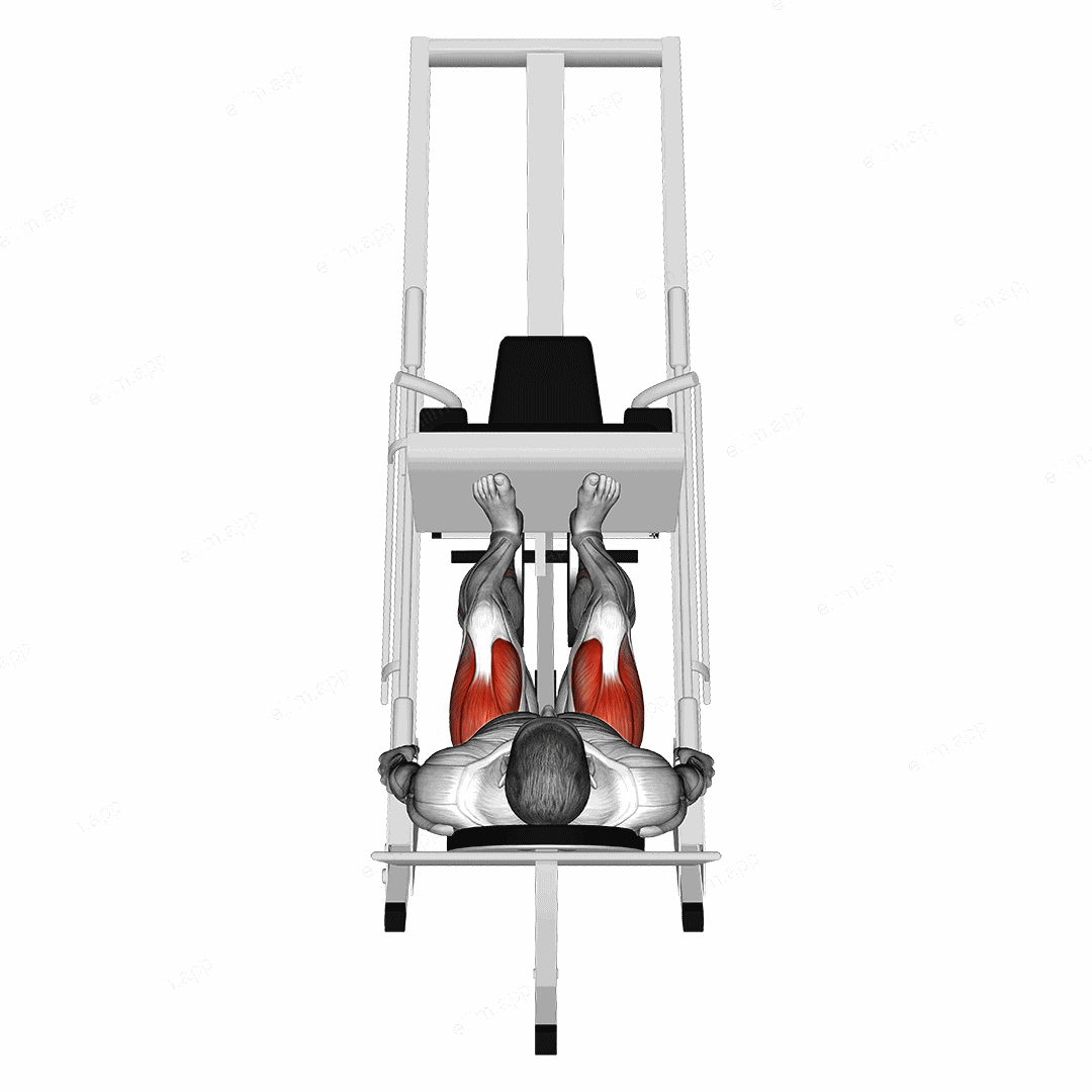 Sled 45ø Leg Press (Back POV) exercise targeting Thighs and Gluteus Maximus