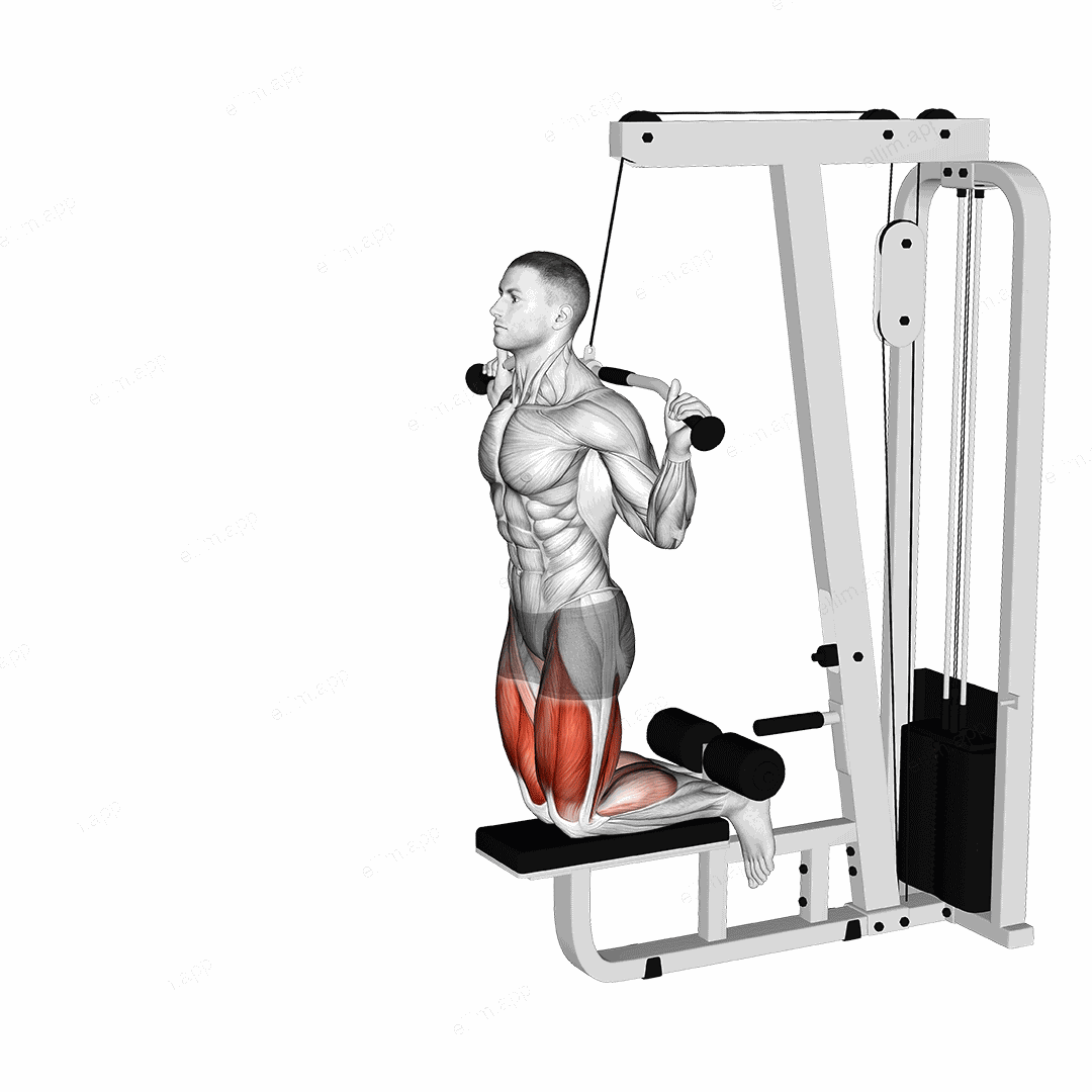 Cable Assisted Inverse Leg Curl exercise targeting Thighs and Hamstrings