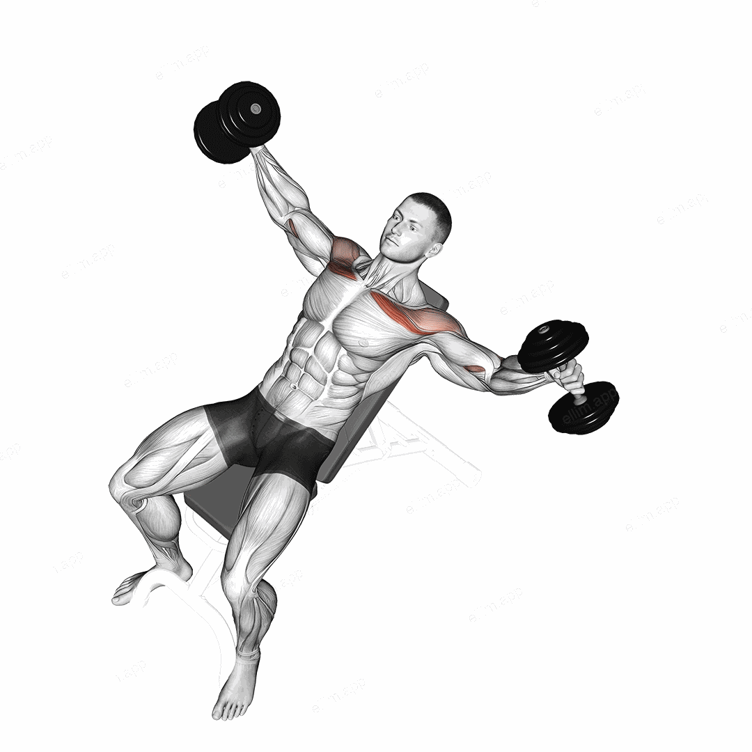 Dumbbell Incline Breeding exercise targeting Chest and Pectoralis Major Clavicular Head