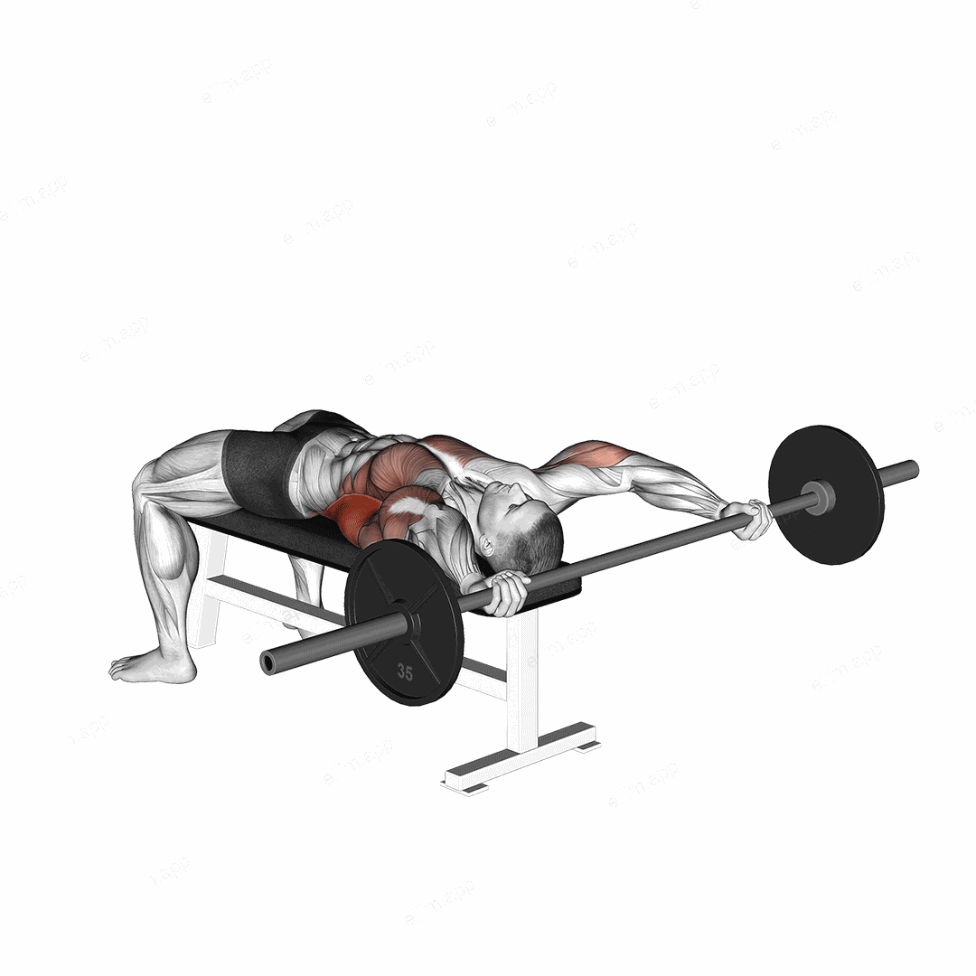 Barbell Wide Pullover exercise targeting Back