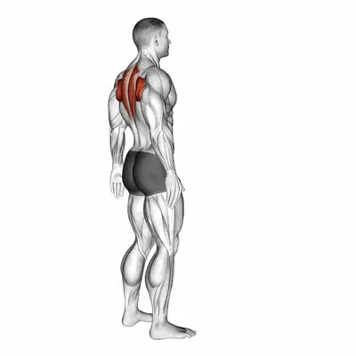 Upper Back Stretch exercise targeting Back and Infraspinatus