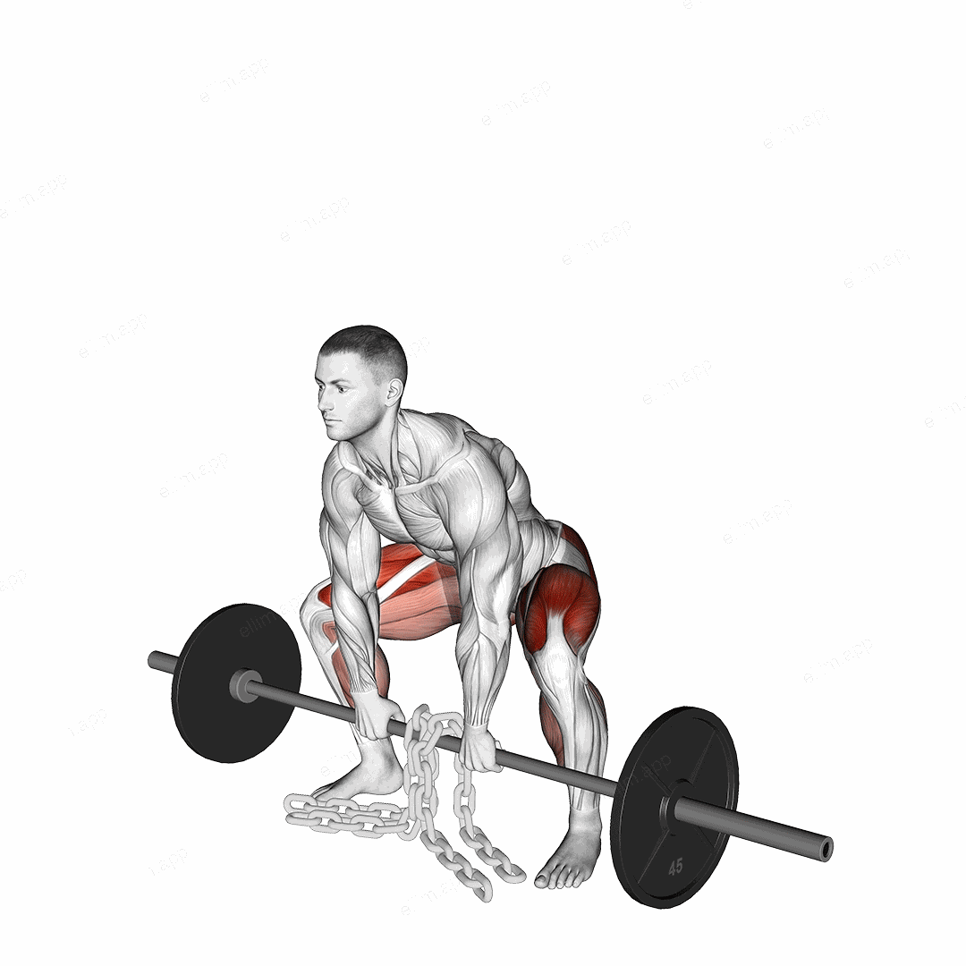 Barbell Weighted Chains Sumo Deadlift exercise targeting Hips