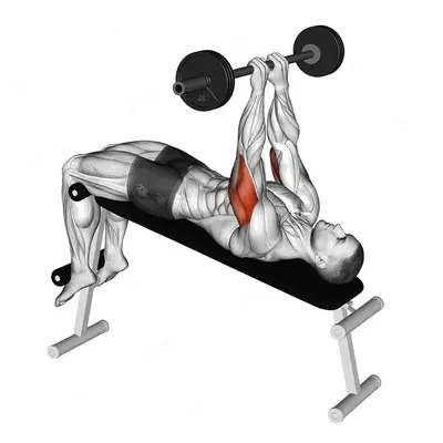 Barbell Decline Close Grip To Skull Press exercise targeting Upper Arms and Triceps Brachii