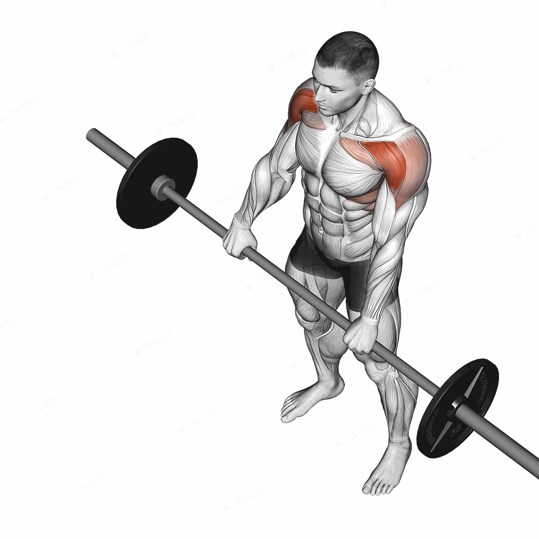 Barbell Front Raise exercise targeting Shoulders and Deltoid Anterior
