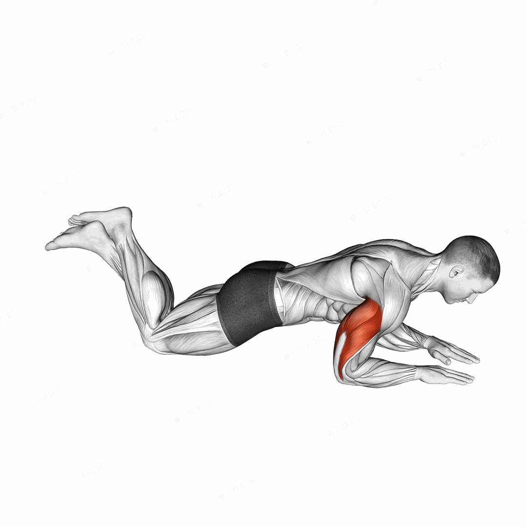 Kneeling Half Triceps Extension exercise targeting Upper Arms
