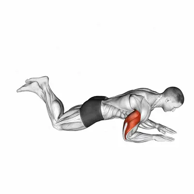 Kneeling Half Triceps Extension exercise targeting Upper Arms