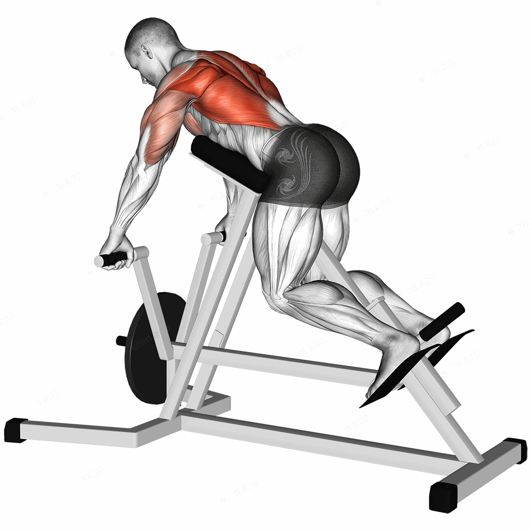 Lever Lying T bar Row exercise targeting Back