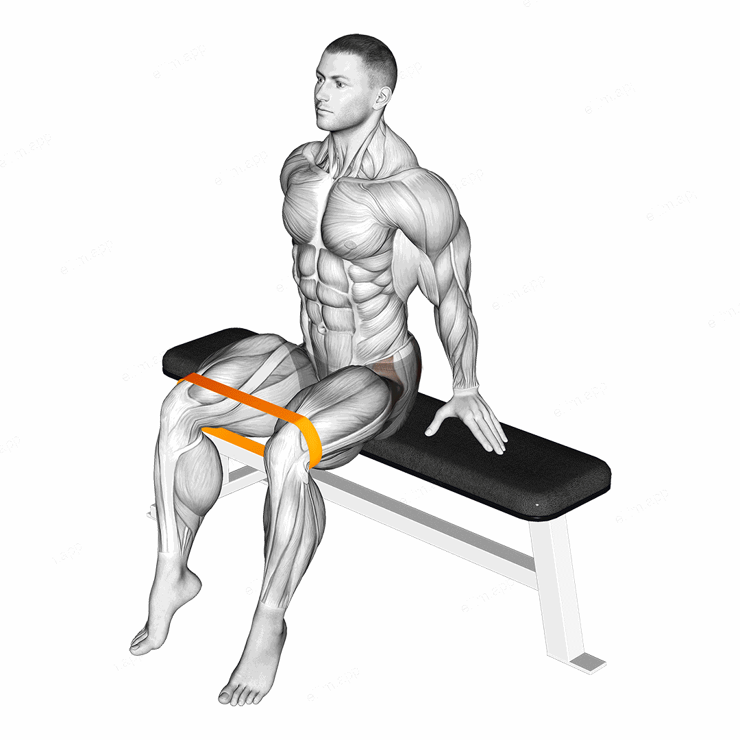 Resistance Band Seated Hip Abduction exercise targeting Hips and Gluteus Medius
