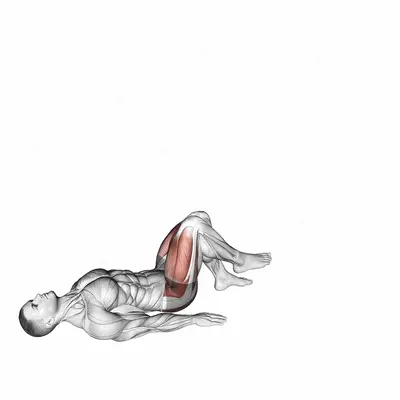 Single Leg Glute Bridge with External Rotation exercise targeting Hips and Adductor Brevis
