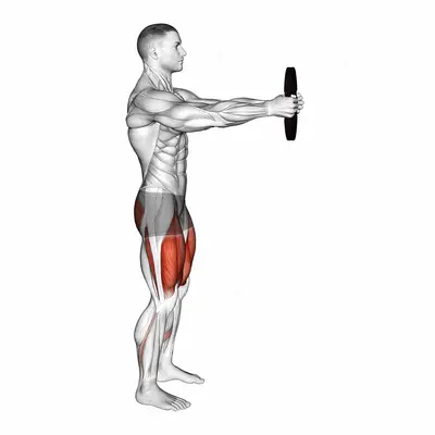 Weighted Counterbalanced Squat exercise targeting Thighs and Gluteus Maximus