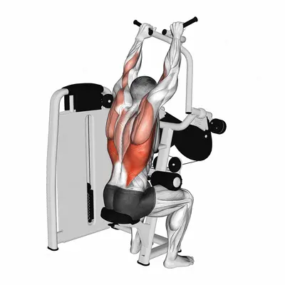 Lever Cross Lat Pulldown exercise targeting Back