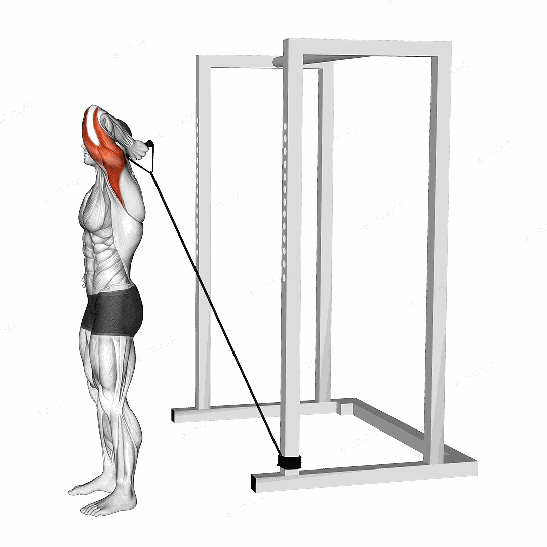 Band Overhead Single Arm Triceps Extension exercise targeting Upper Arms and Triceps Brachii