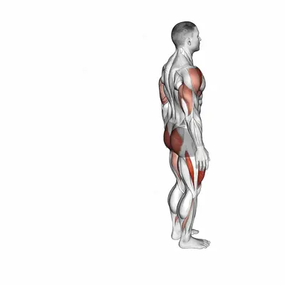 Bodyweight Reverse Lunge with Overhead Reach exercise targeting Thighs