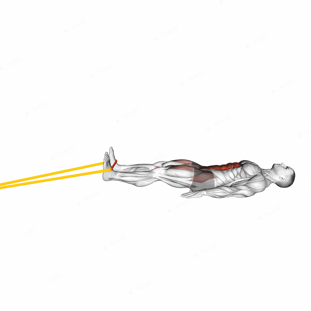 Resistance Band Lying Bent Knee Raise exercise targeting Waist and Iliopsoas