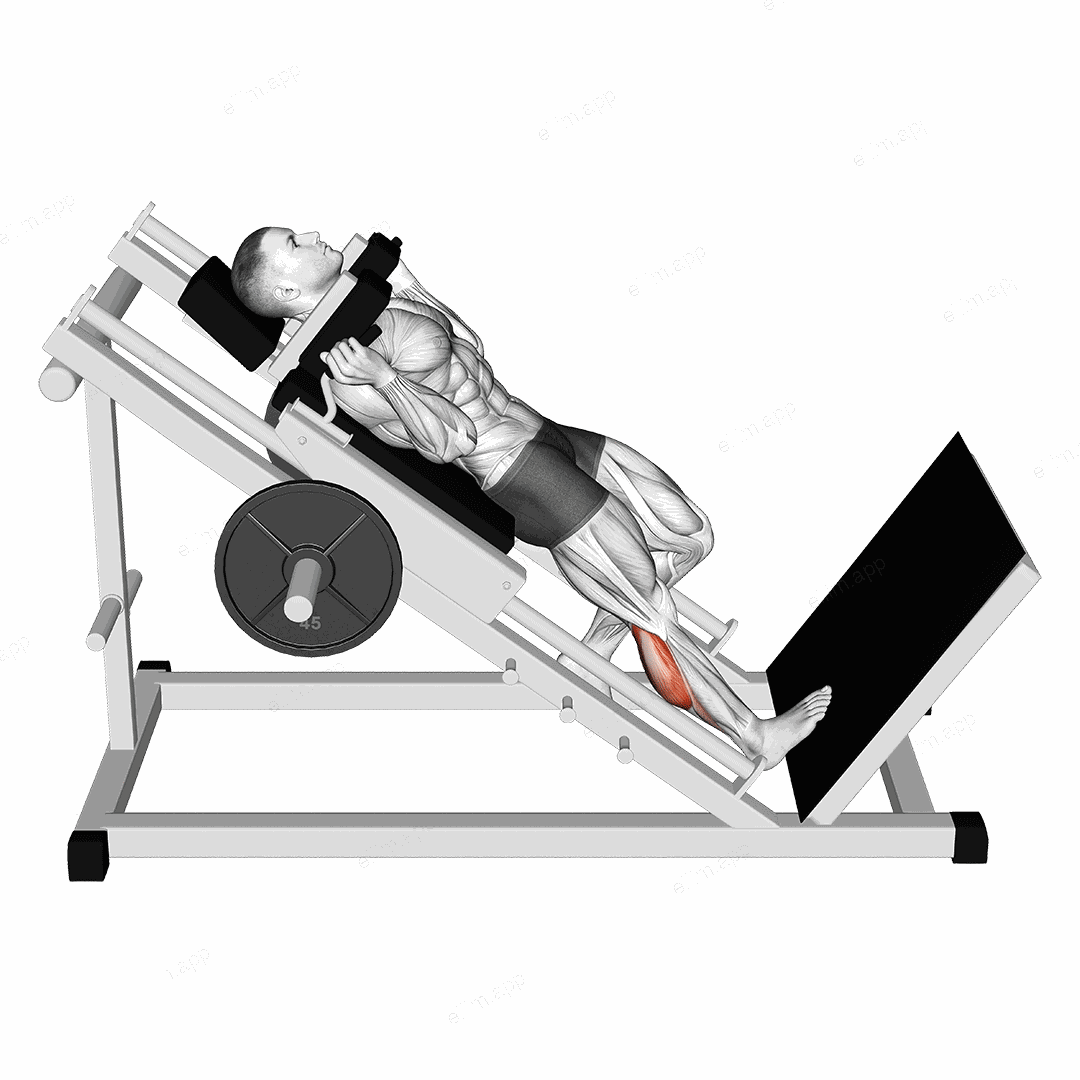 Hack One Leg Calf Raise exercise targeting Calves and Gastrocnemius