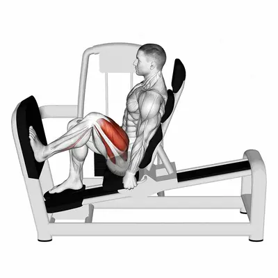 Lever Seated One Leg Wide Squat exercise targeting Thighs